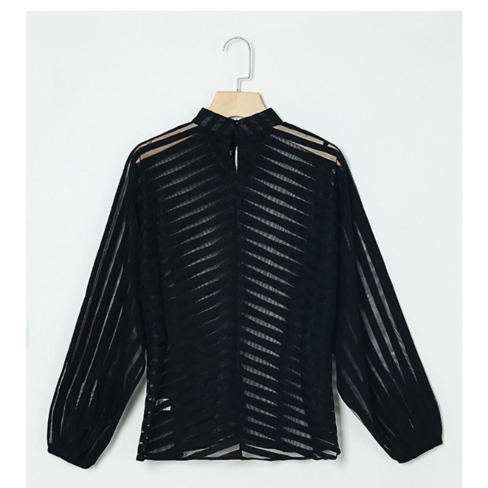 Beautifully crafted sheer top